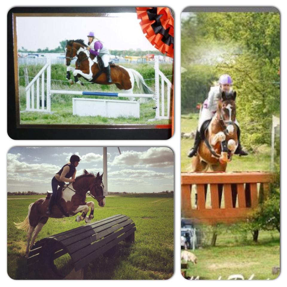 16.1hh skewbald gelding 10 years old, warmblood x